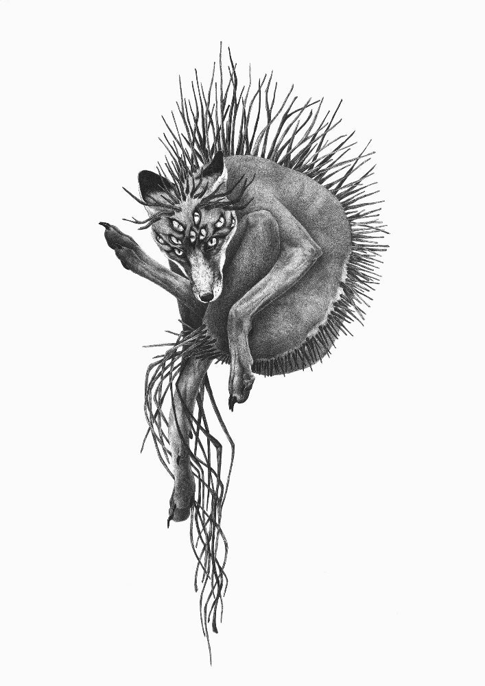 Limited edition print ENDURANCE