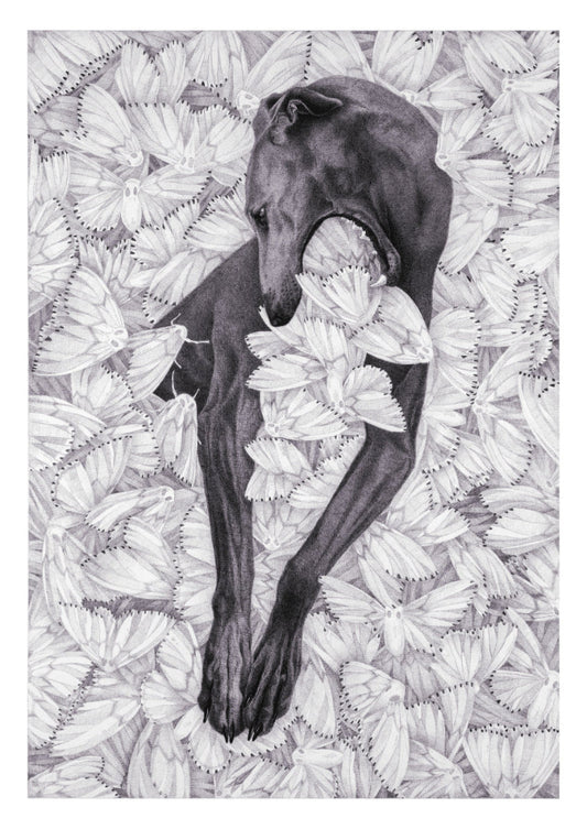 Limited Edition Print "DON'T HOLD ON TO THEM"