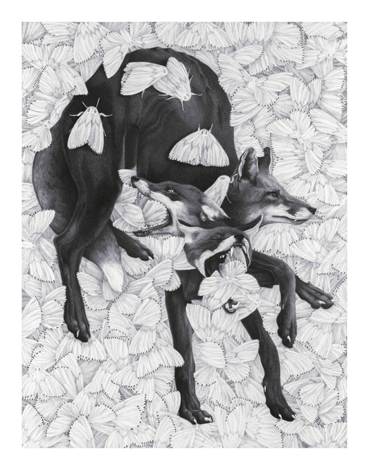 Limited Edition Print "HOW LEARNING TO STAY GROUNDED FEELS"