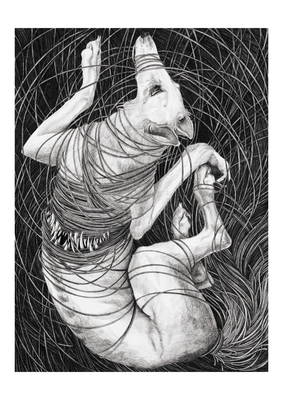 Limited Edition Print "One knot after another"