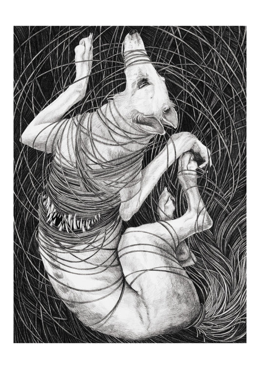 Limited Edition Print "One knot after another"