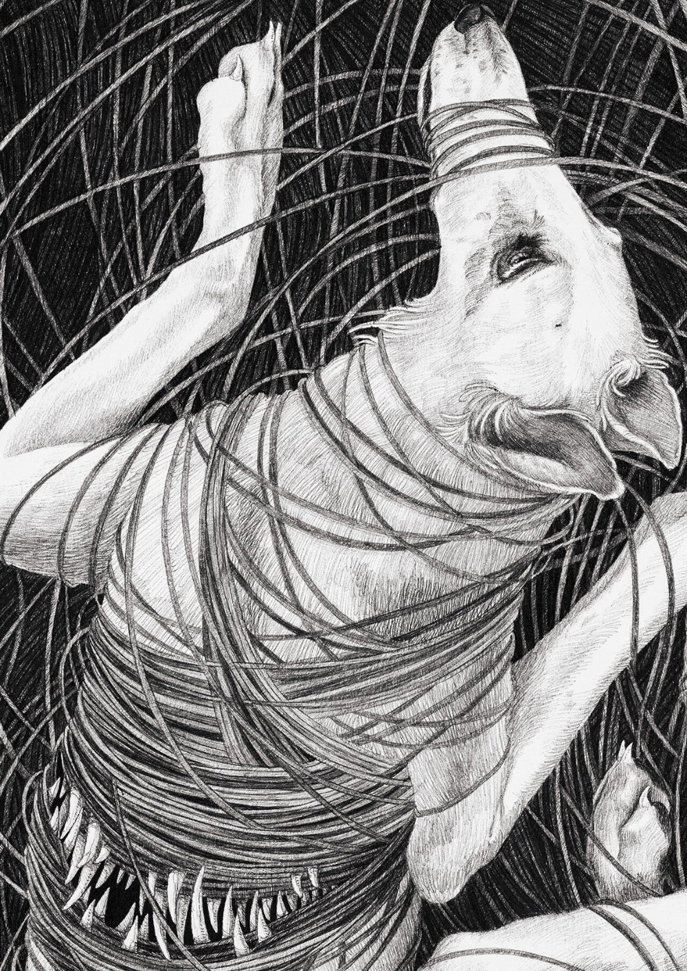 Limited Edition Print "One knot after another"